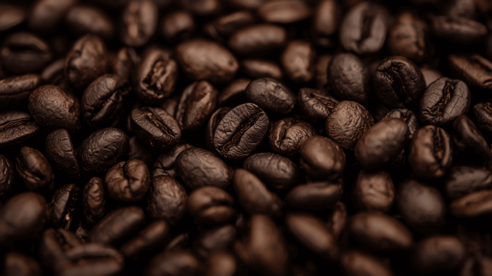 Roasted coffee beans